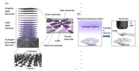 Figure. (a) Structure of the diamond field-effect transistor (FET) fabricated in this research. The design of this FET allows Hall measurements to be performed while applying a gate voltage, enabling evaluation of the density and mobility of holes in the FET channel. (b) The surface of the diamond substrate was first exposed to hydrogen plasma to terminate it with hydrogen. The substrate was then transferred in vacuum into a glovebox filled with argon gas. Finally, cleaved single-crystalline hexagonal boron nitride (h-BN) was attached to the diamond substrate, thereby reducing the amount of airborne substance—which act as acceptors—attaching to the diamond surface.

CREDIT
Takahide Yamaguchi National Institute for Materials Science YAMAGUCHI.Takahide@nims.go.jp