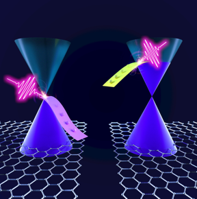 Graphene charge carriers lying on different energetic levels represented by the Dirac cones, which, depending on the number of charge carriers, are occupied up to the neutrality point (blue level on the left cone) or well into the conduction band (blue level on the right cone). In the two cases, the photoexcited charge carriers relax with faster (left side) or slower (right side) dynamics.

CREDIT
Politecnico di Milano - CNR