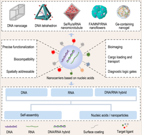 Classification, construction and application of NCNAs in nanobiotic delivery system.

CREDIT
©Science China Press