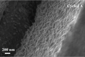 SEM image of the cross-section of the optimal Si film electrode after cycling.

CREDIT
The Authors.