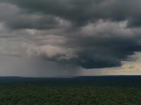 A rain front approaches the ATTO research station in the Amazon rainforest.

Credit
Sebastian Brill, Max Planck Institute for Chemistry