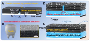 Inspired by the structure of human enamel, a biomimetic coating with enhanced viscoelasticity was constructed layer by layer. The underlying amylose hydrogel serves as both a buffering layer and a self-repairing filler. Using multiple spin-coating processes, TiO2@LA combined with CNTs was applied, followed by hot pressing to create a durable, wear-resistant superhydrophobic surface atop the hydrogel. This layered structure effectively disperses energy under impact loads and prevents crack propagation. Its exceptional mechanical durability and corrosion resistance make it highly promising for protecting oil pipelines against erosion and corrosion.

Credit
Xuerui Zang