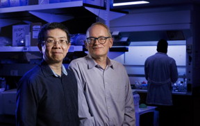 Nebraska researchers Jiantao Guo (left), professor of chemistry, and Janos Zempleni, Willa Cather Professor of nutrition and health sciences, have launched the startup Minovacca, which aims to commercialize the use of universal milk exosomes — natural nanoparticles contained in milk — to transport cargo to human cells.

Credit
Craig Chandler | University Communication and Marketing University of Nebraska-Lincoln