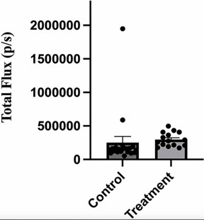 Figure 6: Administration of anti-V-ATPase nanobody does not affect intensity of leg metastases in mice receiving implanted 4T1-12B cells. 20 BALB/c mice were implanted with 4T1-12B cells in the mammary fat pad and then received injections of 66 μg of nanobody in PBS (or PBS alone for control mice) IP three times per week for 3 weeks. Prior to sacrifice mice were injected IP with luciferin and hind legs were removed and imaged ex vivo using a Perkin Elmer IVIS SpectrumCT In Vivo Imaging System. The intensity of the luminescence signal was quantitated using the Living Image software.

Credit
2024 Li et al.